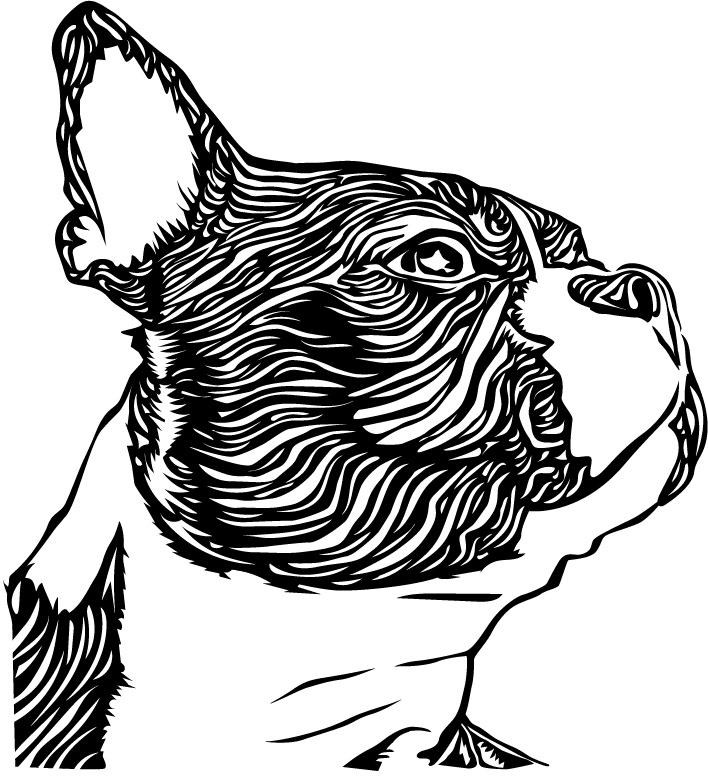 Relief style illustration of a Boston Terrier